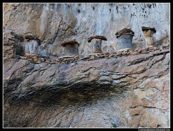 Cañon Rio Lobos