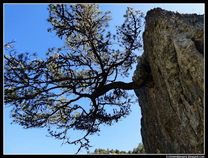 Cañon Rio Lobos